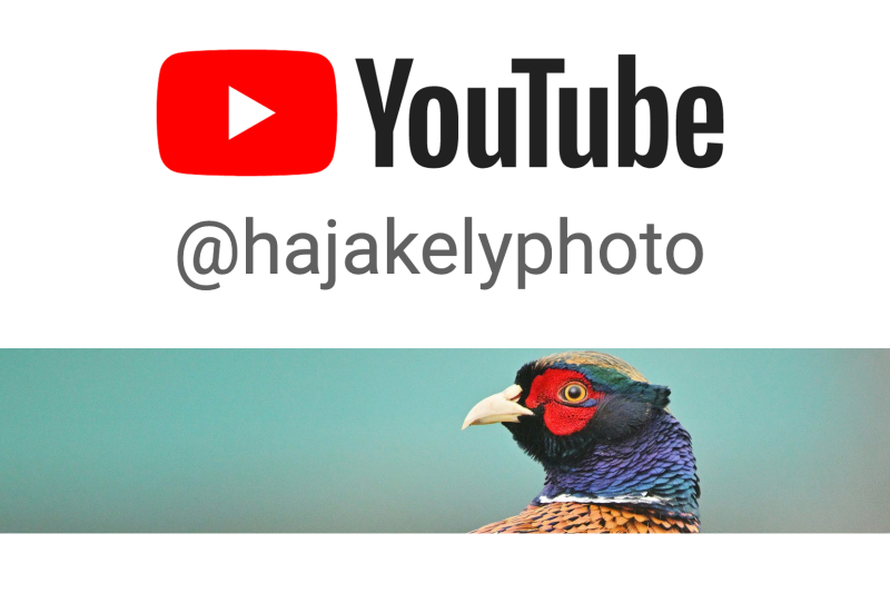 @hajakelyphoto